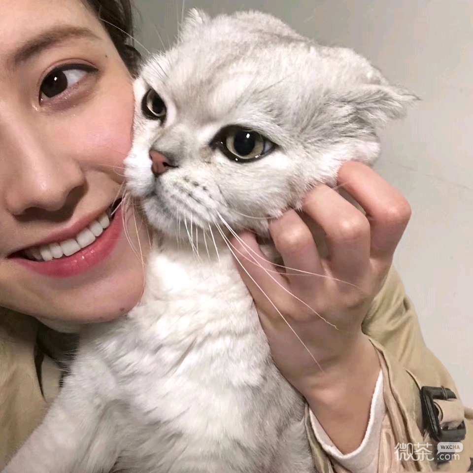 微信清纯阳光可爱女头