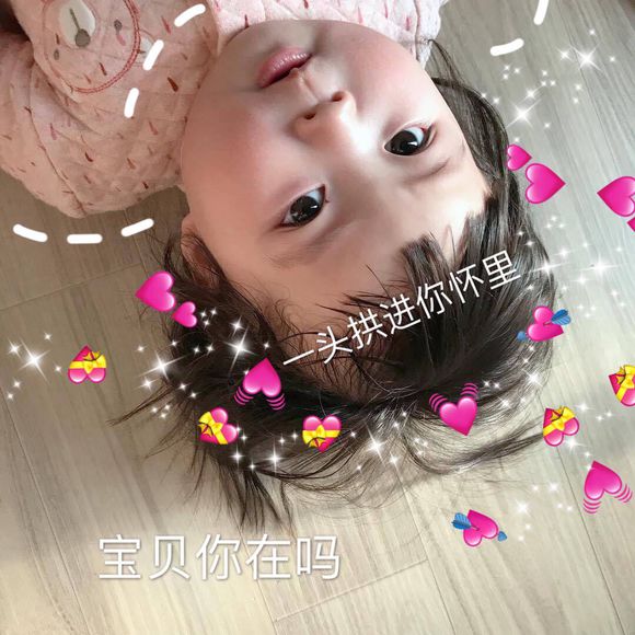 微信可爱罗熙斗图表情包