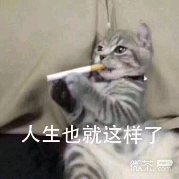 我想不开微信恶搞群聊杂图斗图表情包
