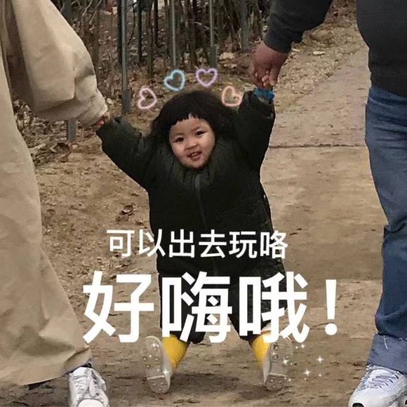 微信可爱罗熙斗图表情包