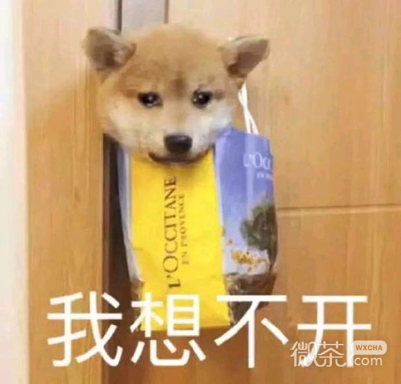 我想不开微信恶搞群聊杂图斗图表情包