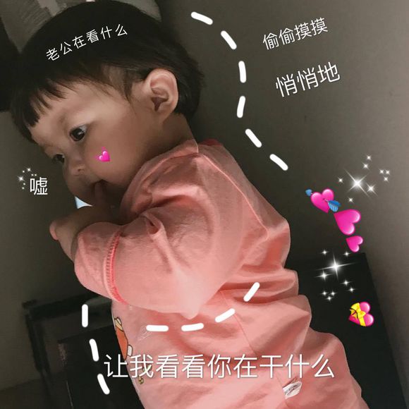 微信可爱罗熙斗图表情包