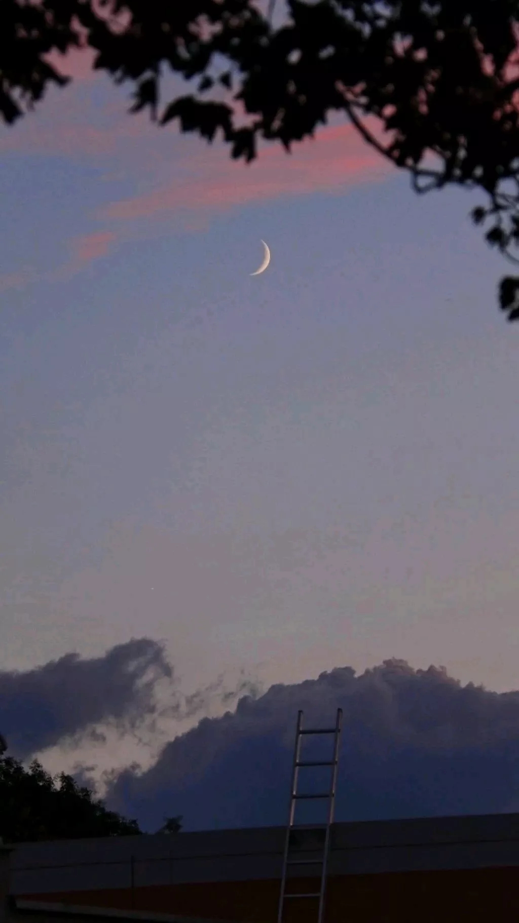 意境风景静物手机壁纸