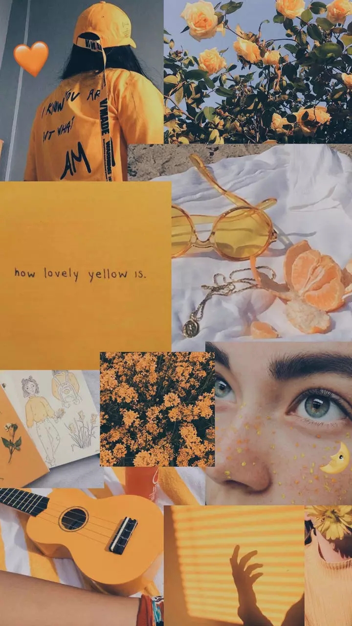 意境风景静物手机壁纸