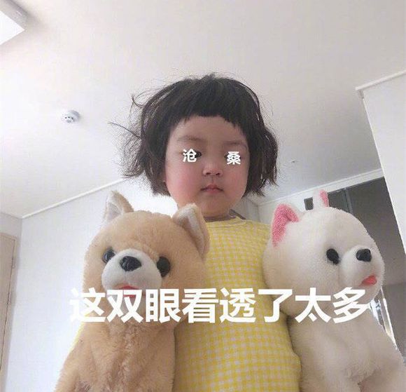 微信可爱罗熙斗图表情包