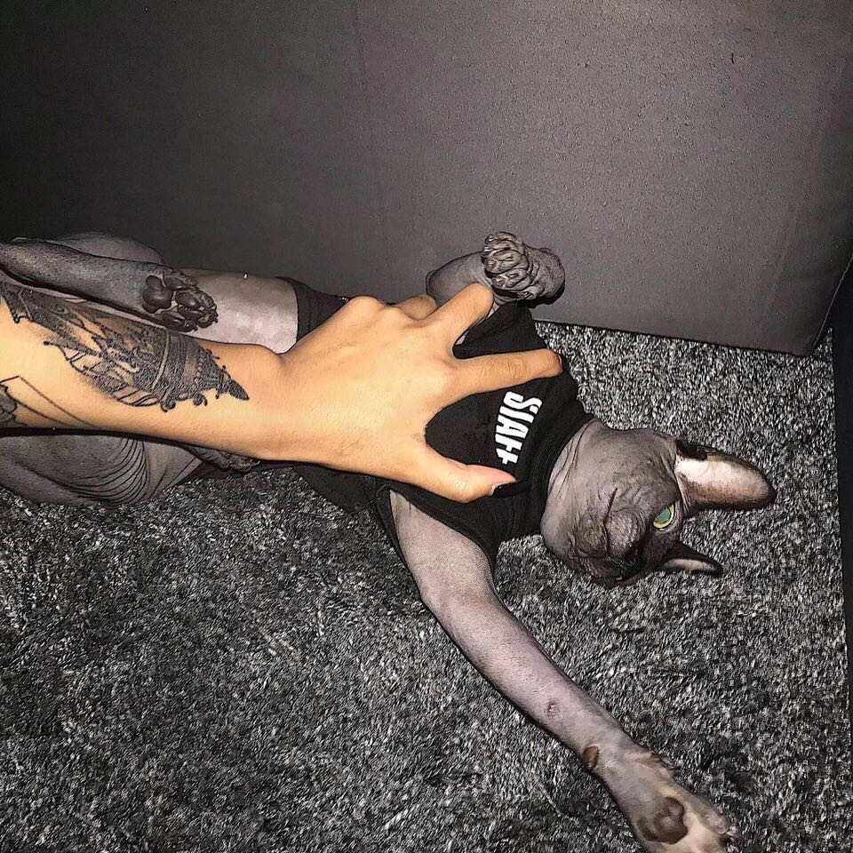 微信清新阳光性感女头