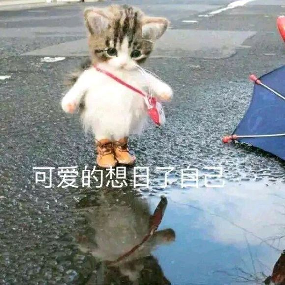 记仇微信恶搞傻屌群聊杂图斗图表情包