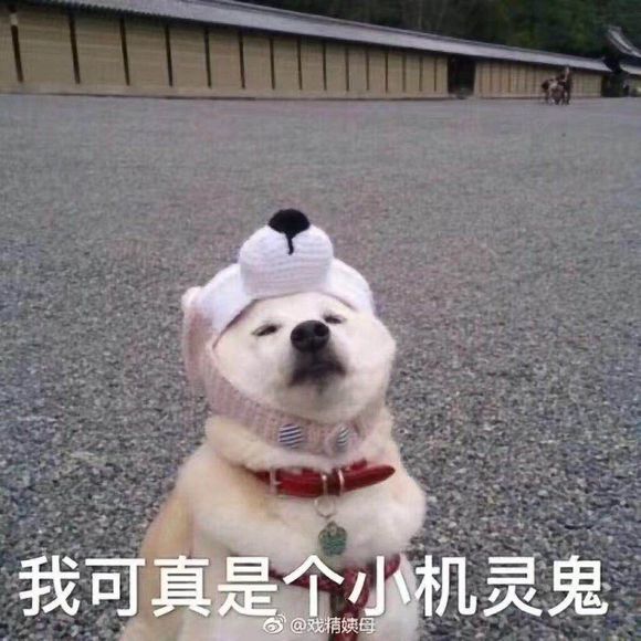 记仇微信恶搞傻屌群聊杂图斗图表情包