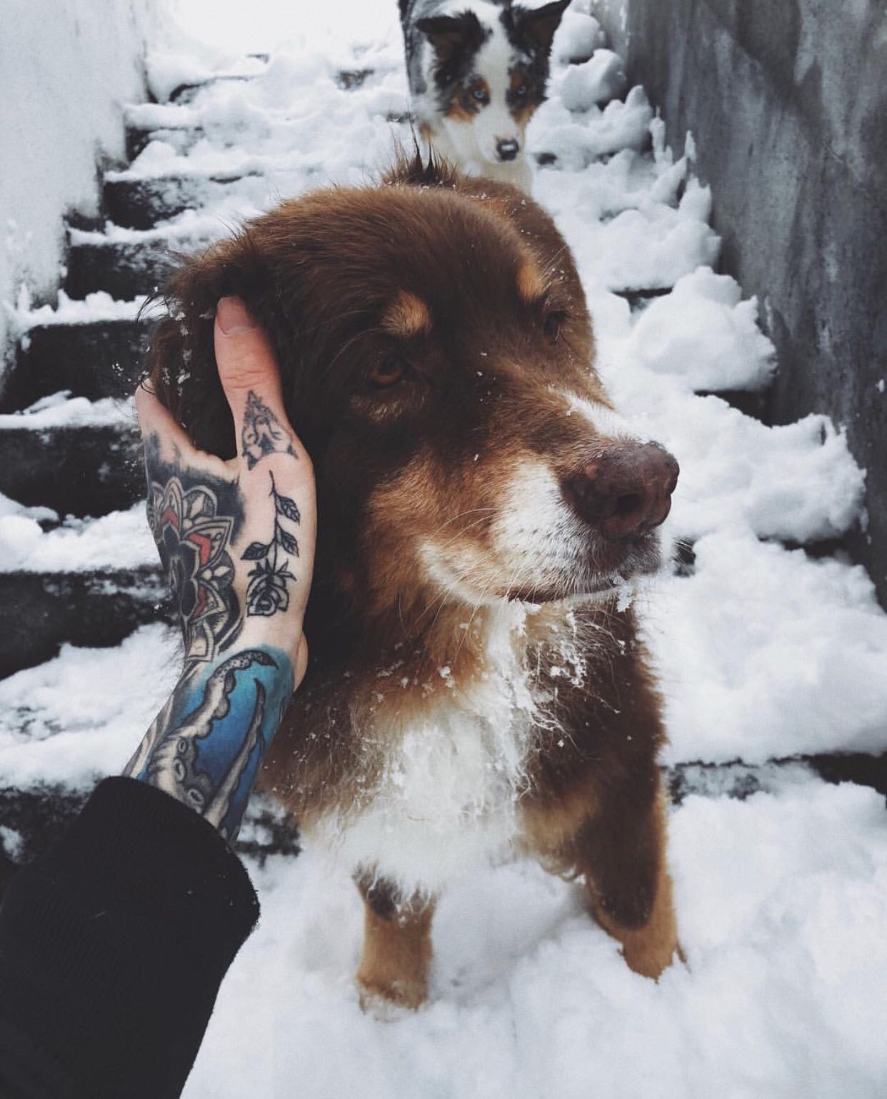 微信清新非主流冷酷女头