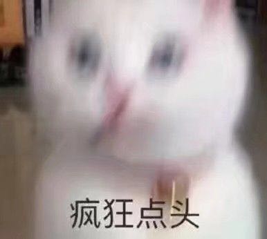 放弃交流微信恶搞傻屌群聊杂图斗图表情包