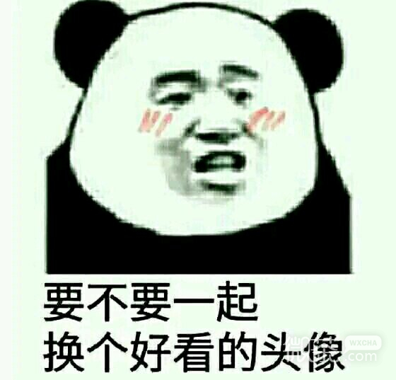 理我微信恶搞傻屌群聊杂图表情包