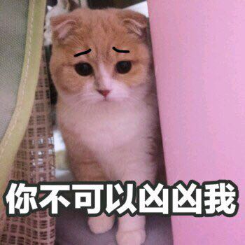 记仇微信恶搞傻屌群聊杂图斗图表情包