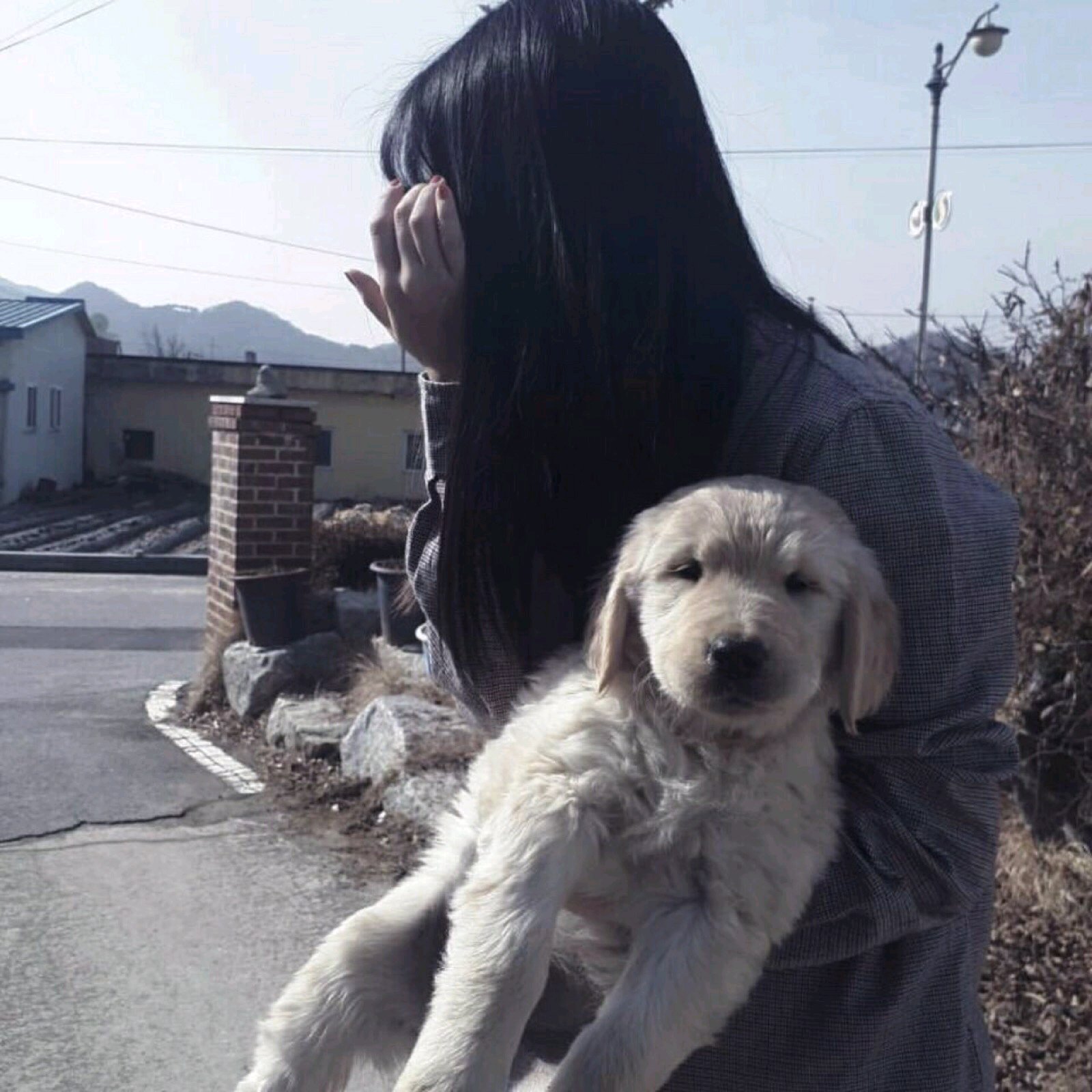 微信阳光清新唯美女头