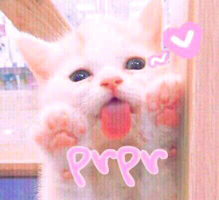 记仇微信恶搞傻屌群聊杂图斗图表情包