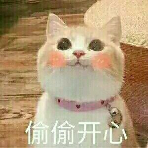 理我微信恶搞傻屌群聊杂图表情包