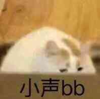 放弃交流微信恶搞傻屌群聊杂图斗图表情包