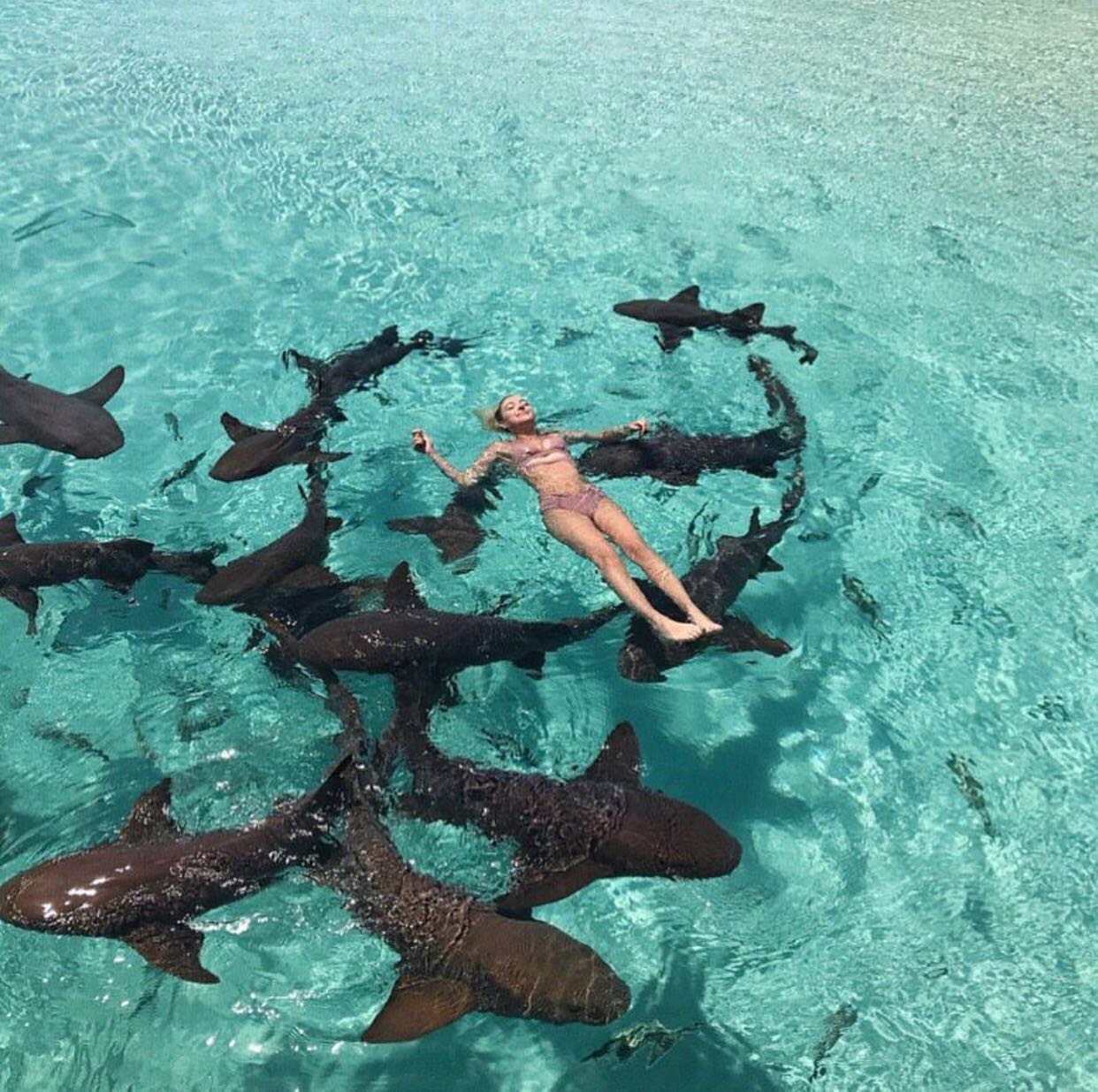 微信清新阳光性感女头