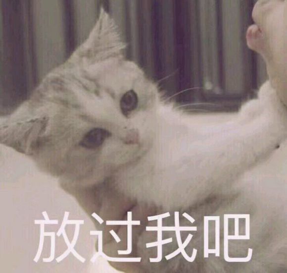 记仇微信恶搞傻屌群聊杂图斗图表情包