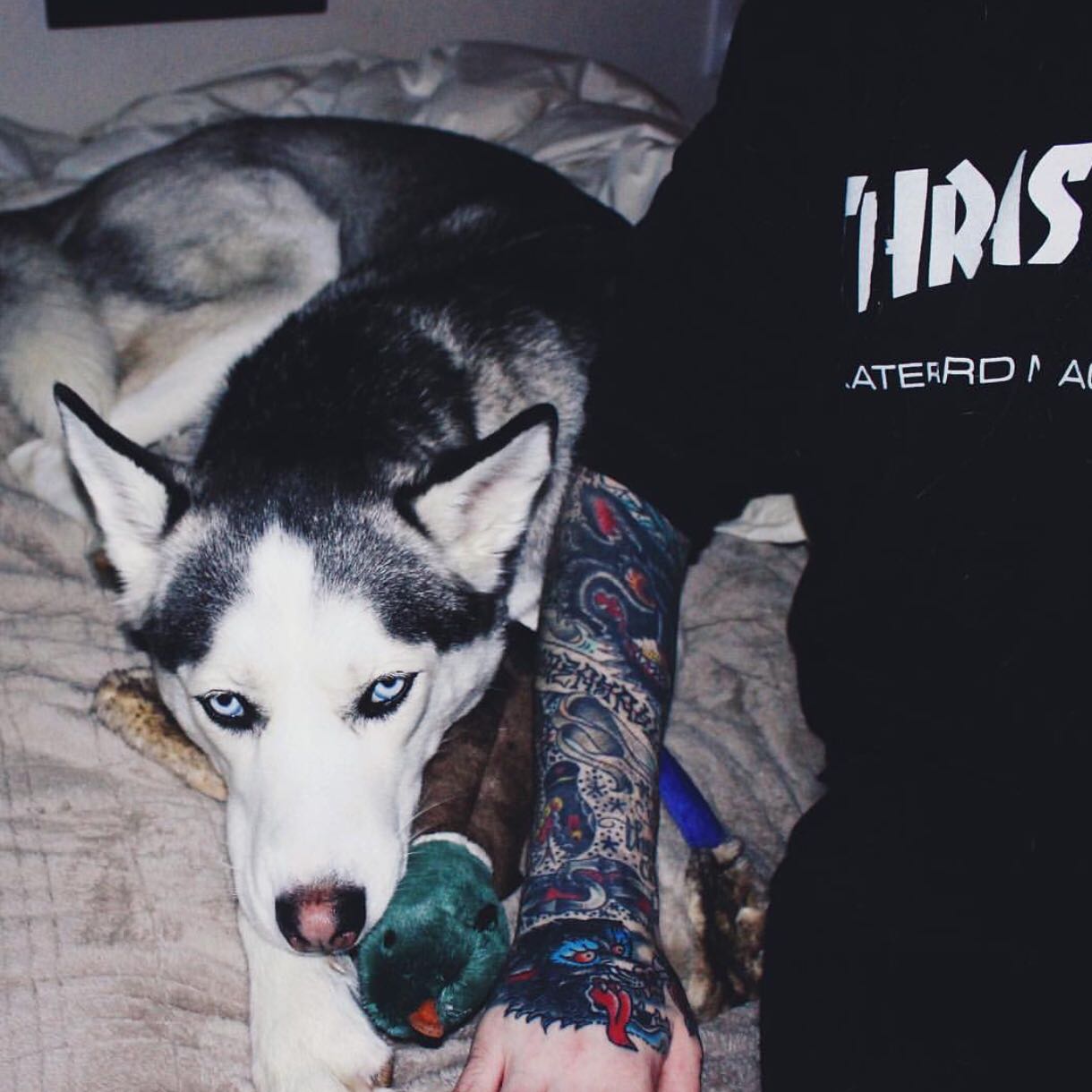 微信清新非主流冷酷女头