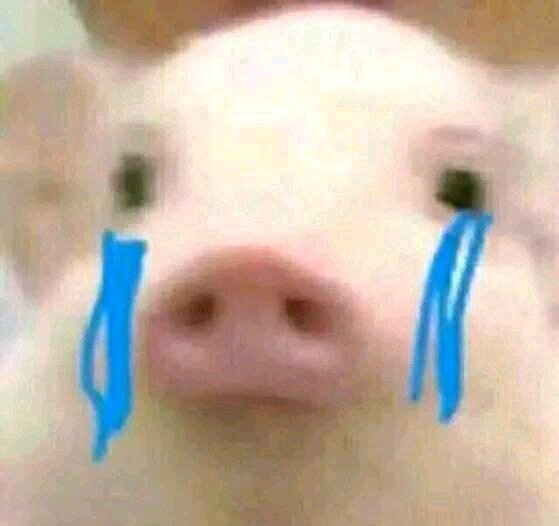 记仇微信恶搞傻屌群聊杂图斗图表情包