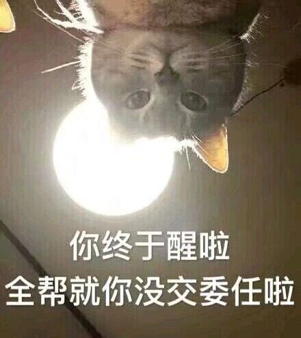 你做梦微信恶搞群聊杂图斗图表情包