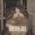 你做梦微信恶搞群聊杂图斗图表情包