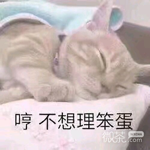 委屈微信群聊杂图斗图表情包