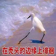 委屈微信群聊杂图斗图表情包