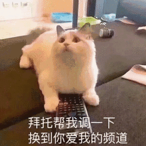 点名批评微信近期斗图恶搞表情包
