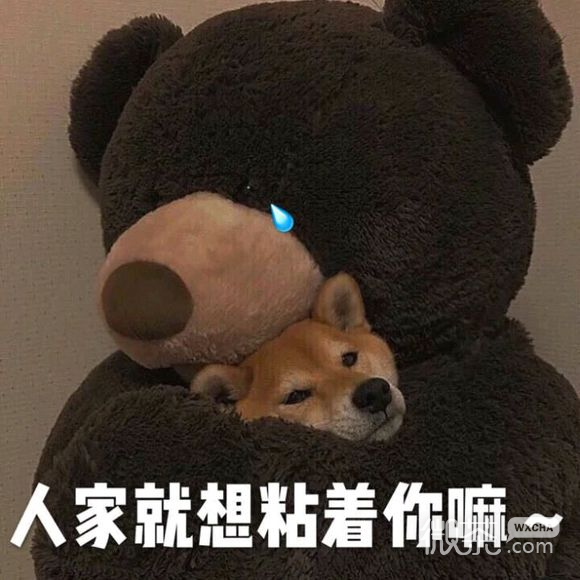 委屈微信群聊杂图斗图表情包