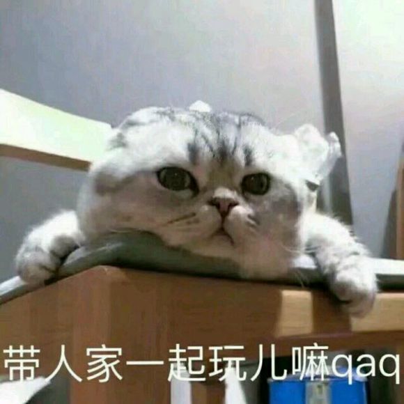 记仇微信恶搞傻屌群聊杂图斗图表情包