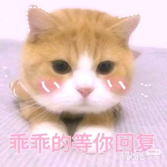 日他微信搞怪群聊杂图表情包
