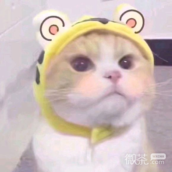 日他微信搞怪群聊杂图表情包