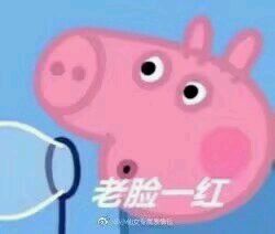 好姐妹微信恶搞群聊杂图斗图表情包