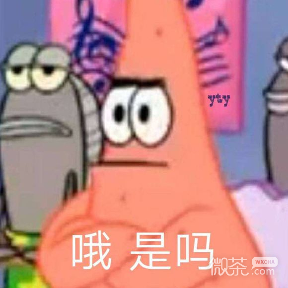暗中观察微信恶搞群聊杂图表情包