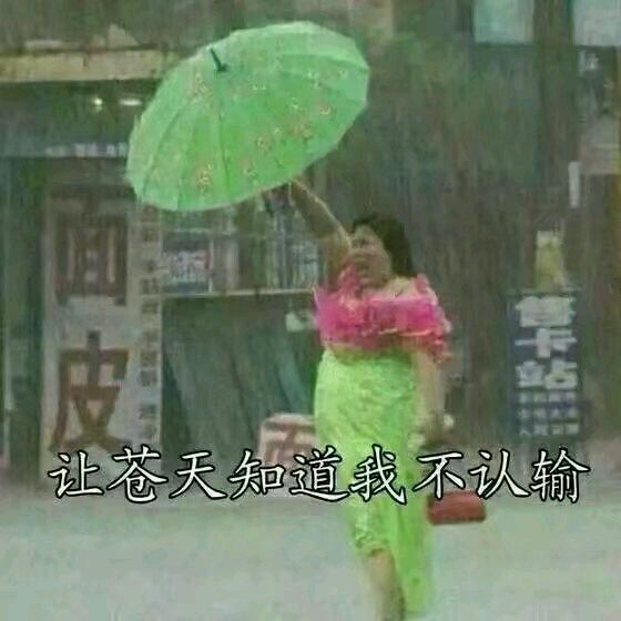 好姐妹微信恶搞群聊杂图斗图表情包