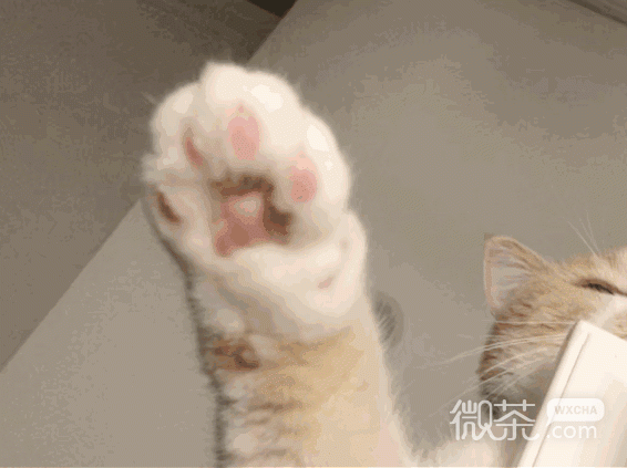 日他微信搞怪群聊杂图表情包