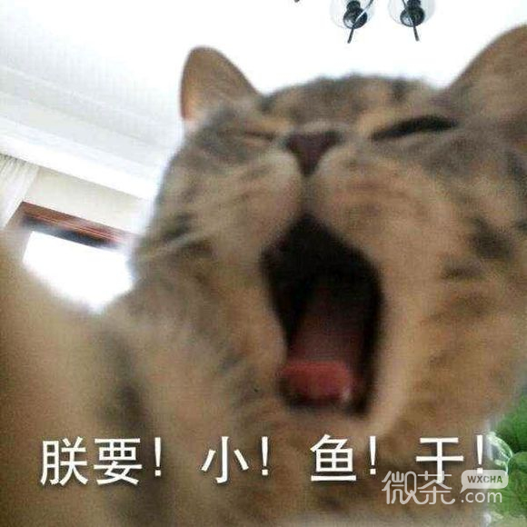 日他微信搞怪群聊杂图表情包