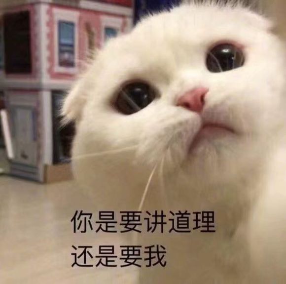 好姐妹微信恶搞群聊杂图斗图表情包