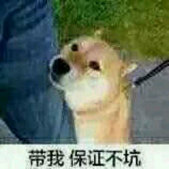 好姐妹微信恶搞群聊杂图斗图表情包