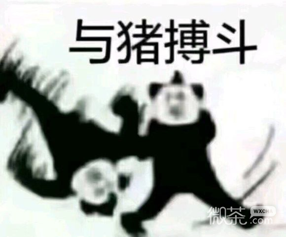 暗中观察微信恶搞群聊杂图表情包