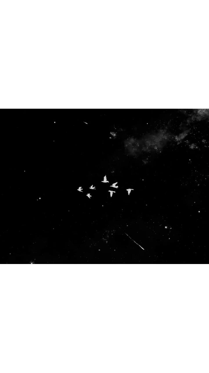 小清新个性手机壁纸