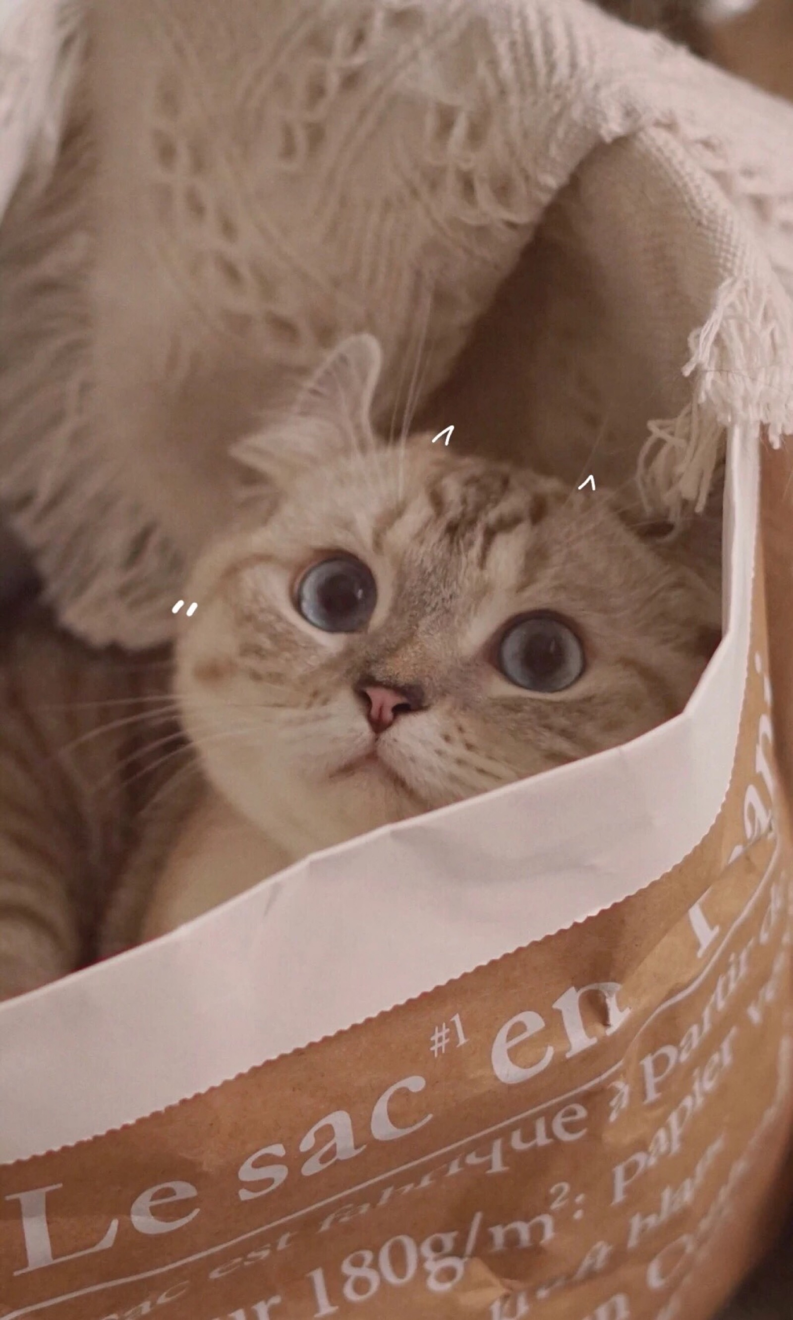 清新好看海景手机壁纸