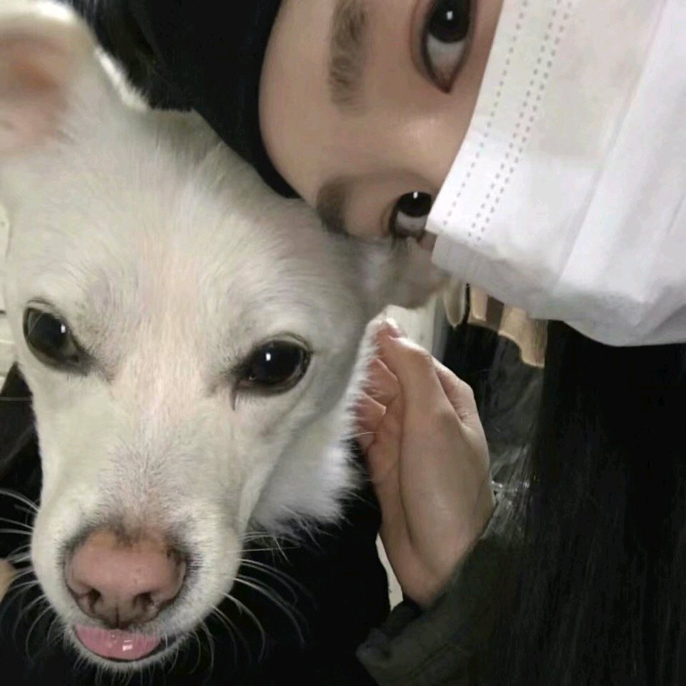 微信清新阳光性感抖音网红女头