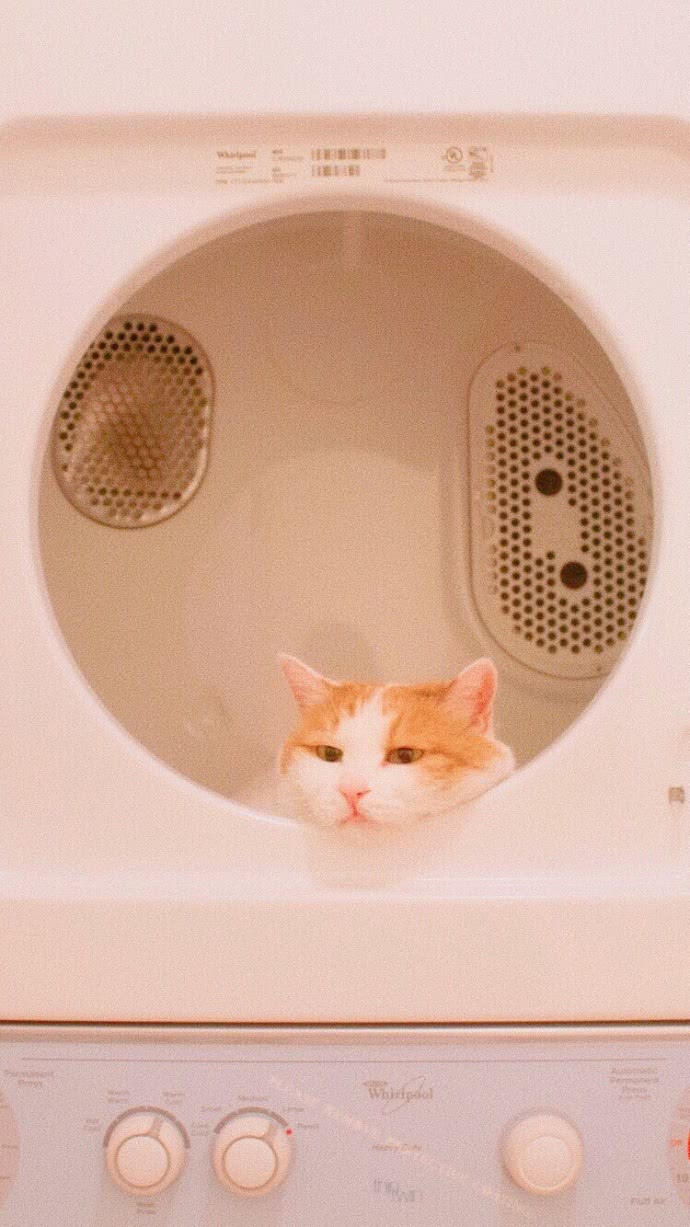 小清新个性手机壁纸