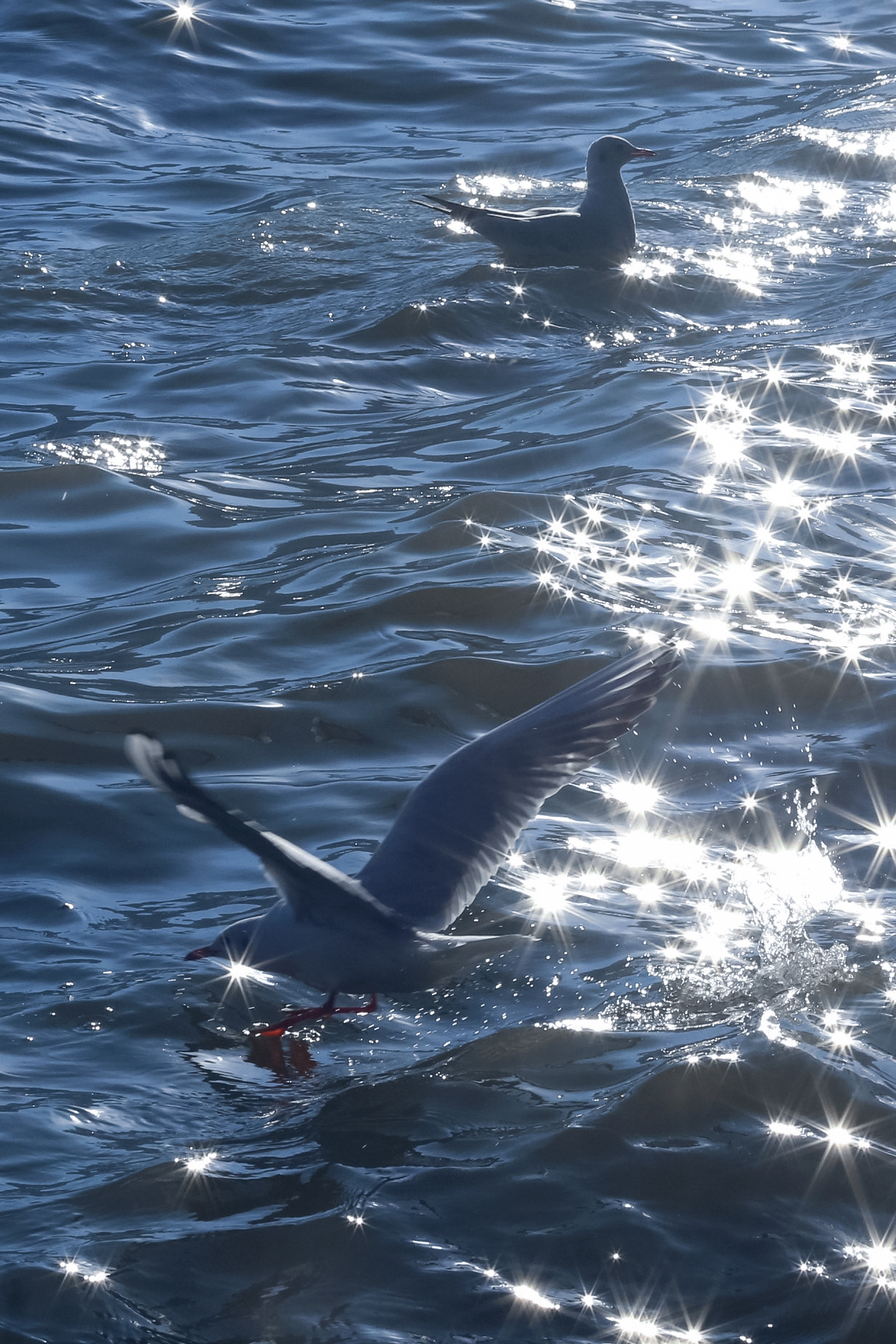 唯美晚霞手机壁纸