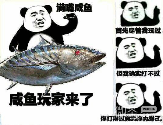 暗示微信恶搞群聊杂图表情包