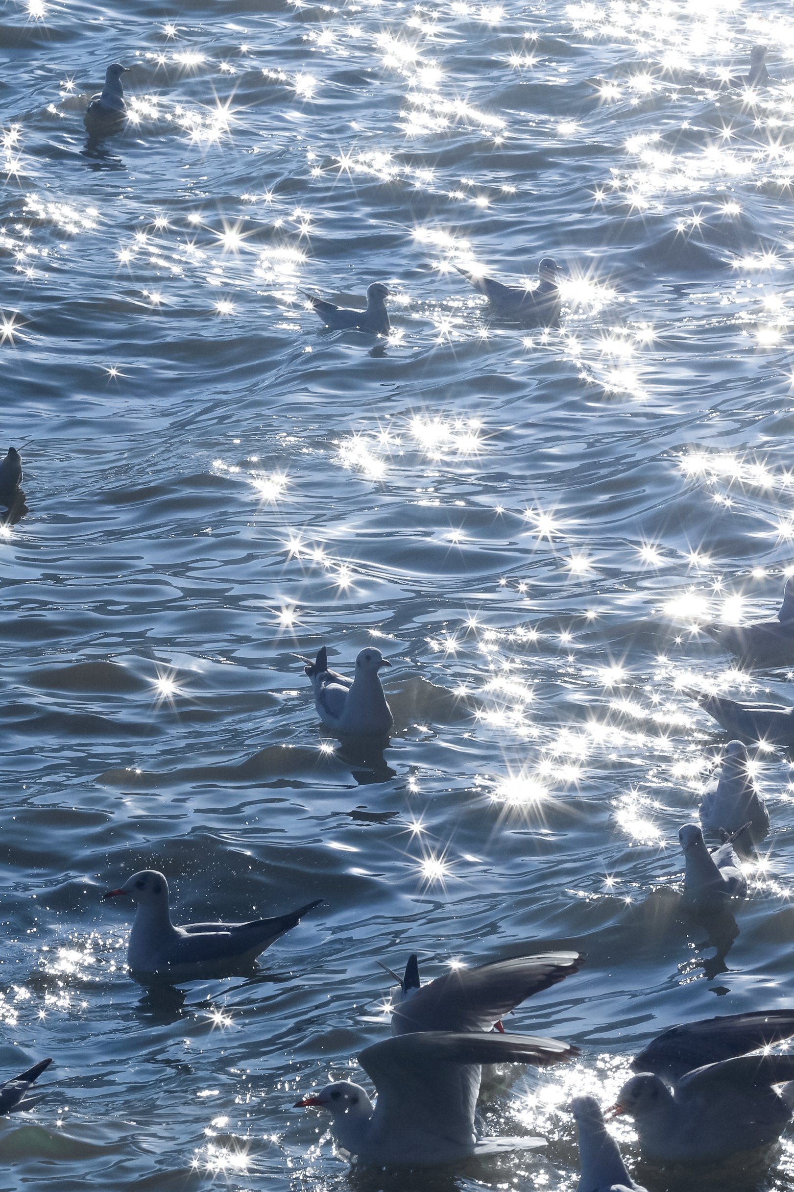 唯美晚霞手机壁纸