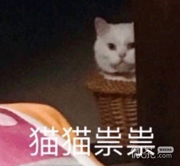 微信近期斗图恶搞表情包2019/6/7