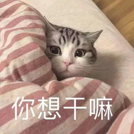 微信近期斗图恶搞表情包2019/6/9（二）